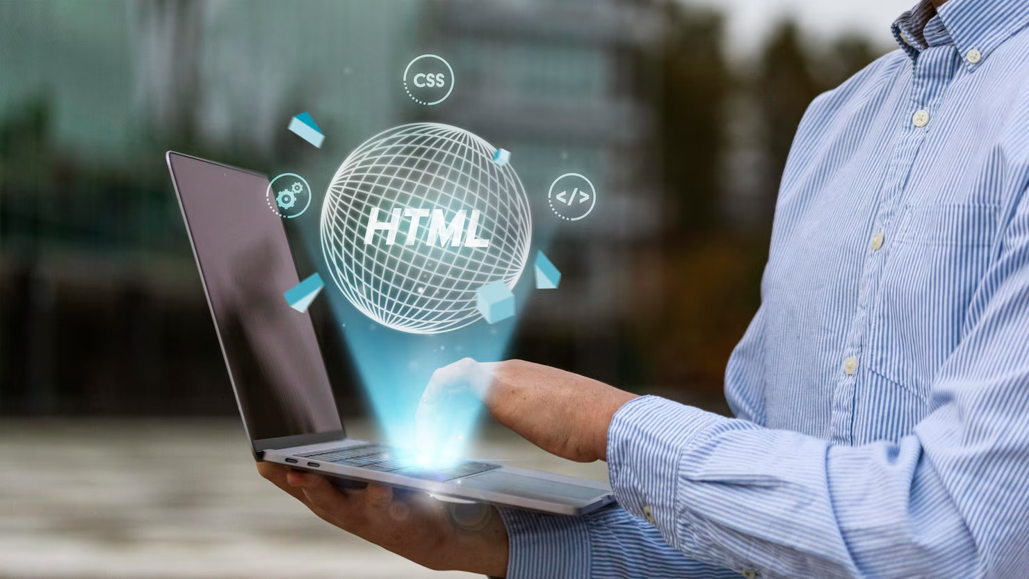 Web Design